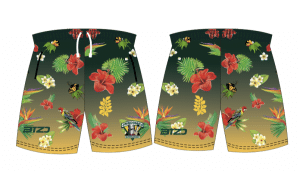 Hawaiian Shorts